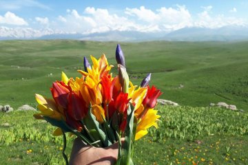 Almaty Mountains: Ushkonyr Plateau